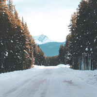 LET IT SNOW